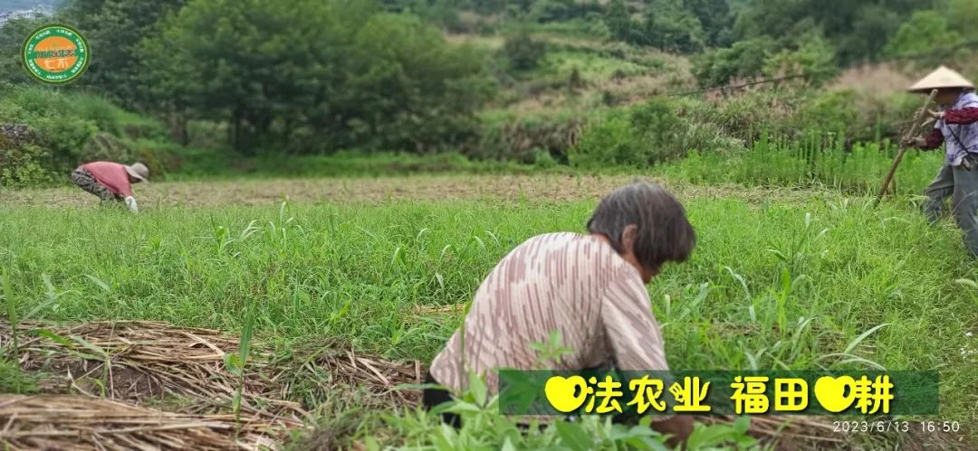 (●'?'●)6月慶祝春播春種順利完成！ 姜膏姜油 端午糯米 會員積分換購特惠 ，2023預售大米 會員折上折 6.18折