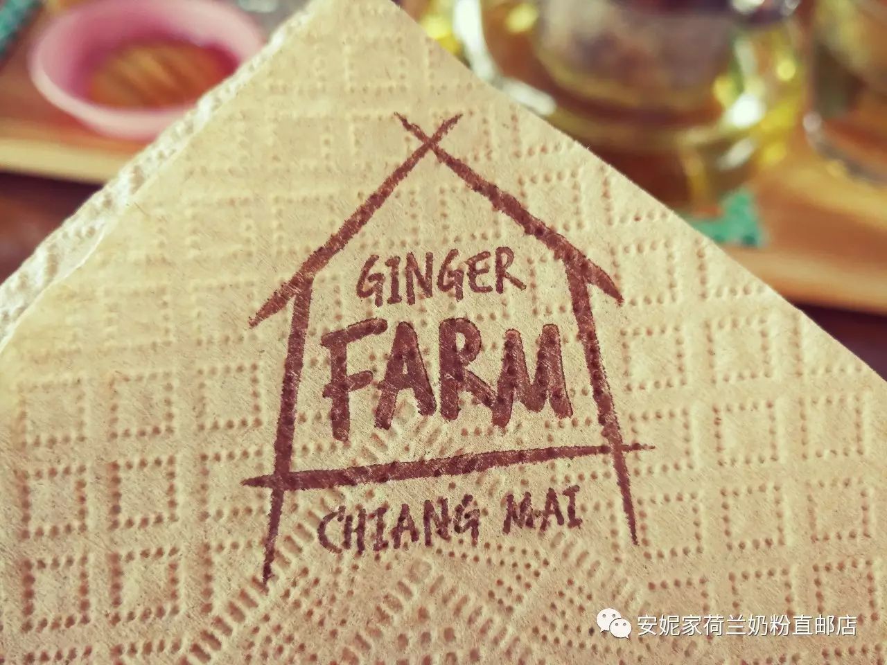 【清邁】GINGER FARM里的泰國農家樂，可以舉辦生日趴體，10月份假期日托班信息在貼底