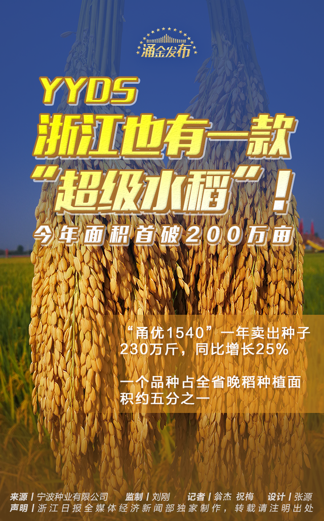 浙江也有一款“超級水稻”!甬優1540水稻 浙江也有一款“超級水稻”!甬優1540水稻