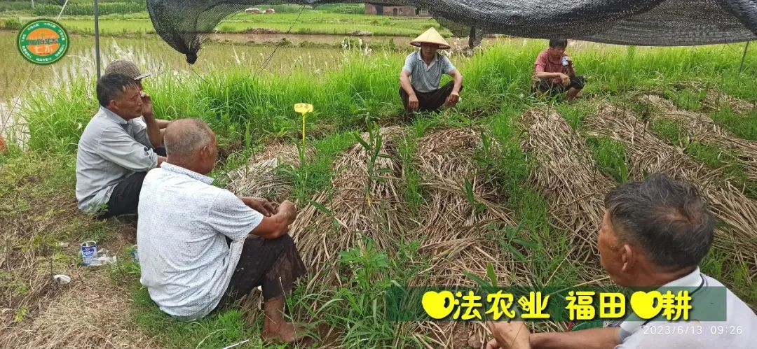 (●'?'●)6月慶祝春播春種順利完成！ 姜膏姜油 端午糯米 會員積分換購特惠 ，2023預售大米 會員折上折 6.18折