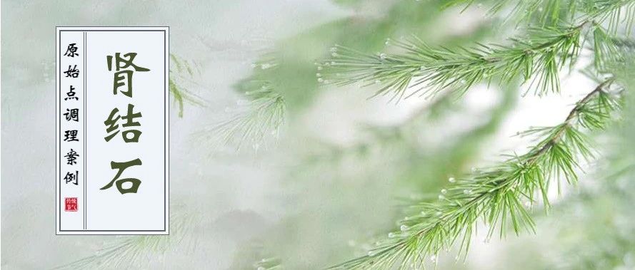 原始點案例分享 | 腎結石-七不姜 生姜養生網-明德CSA生態姜園&明安農業