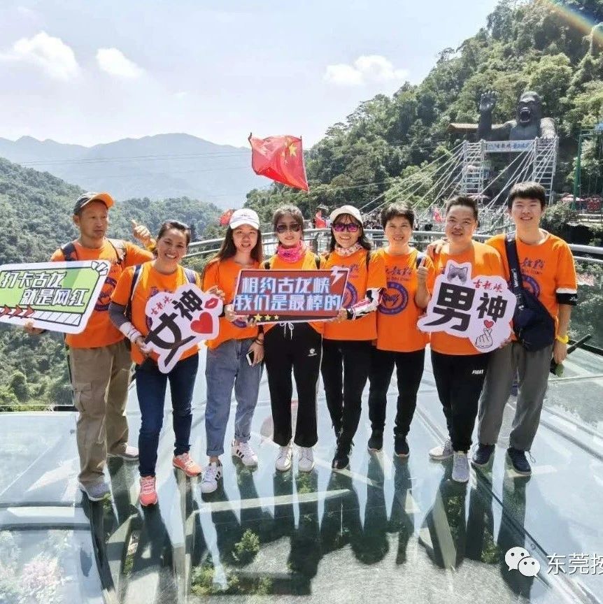 皮膚過敏,痔瘡-七不姜 生姜養生網-明德CSA生態姜園&明安農業