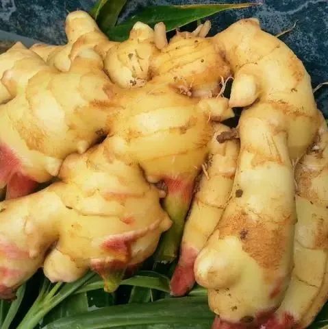 親！您有多少姜積分？！春節促銷特惠優惠劵折扣特惠！送日歷海報姜湯保溫杯！暖心暖身~