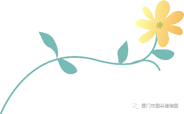 “橙汁”是花不是飲料,旱地里長出蓮花...植物園這個園子太神奇了! “橙汁”是花不是飲料,旱地里長出蓮花...植物園這個園子太神奇了!