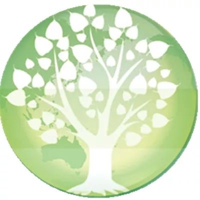 【現代心素派】 大補湯
