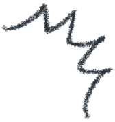 【現代心素派】 大補湯