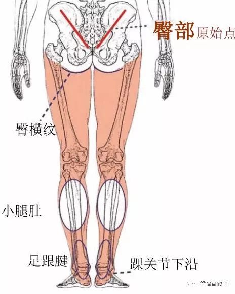 原始點案例：靜脈曲張案例集