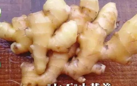 濕地養生 |  冬吃蘿卜,夏吃姜!這樣吃姜最健康(附食譜)-七不姜 生姜養生網-明德CSA生態姜園&明安農業