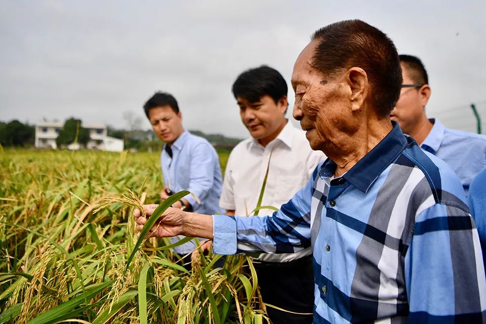逝者｜袁隆平：希望農民從土地上徹底解脫出來
