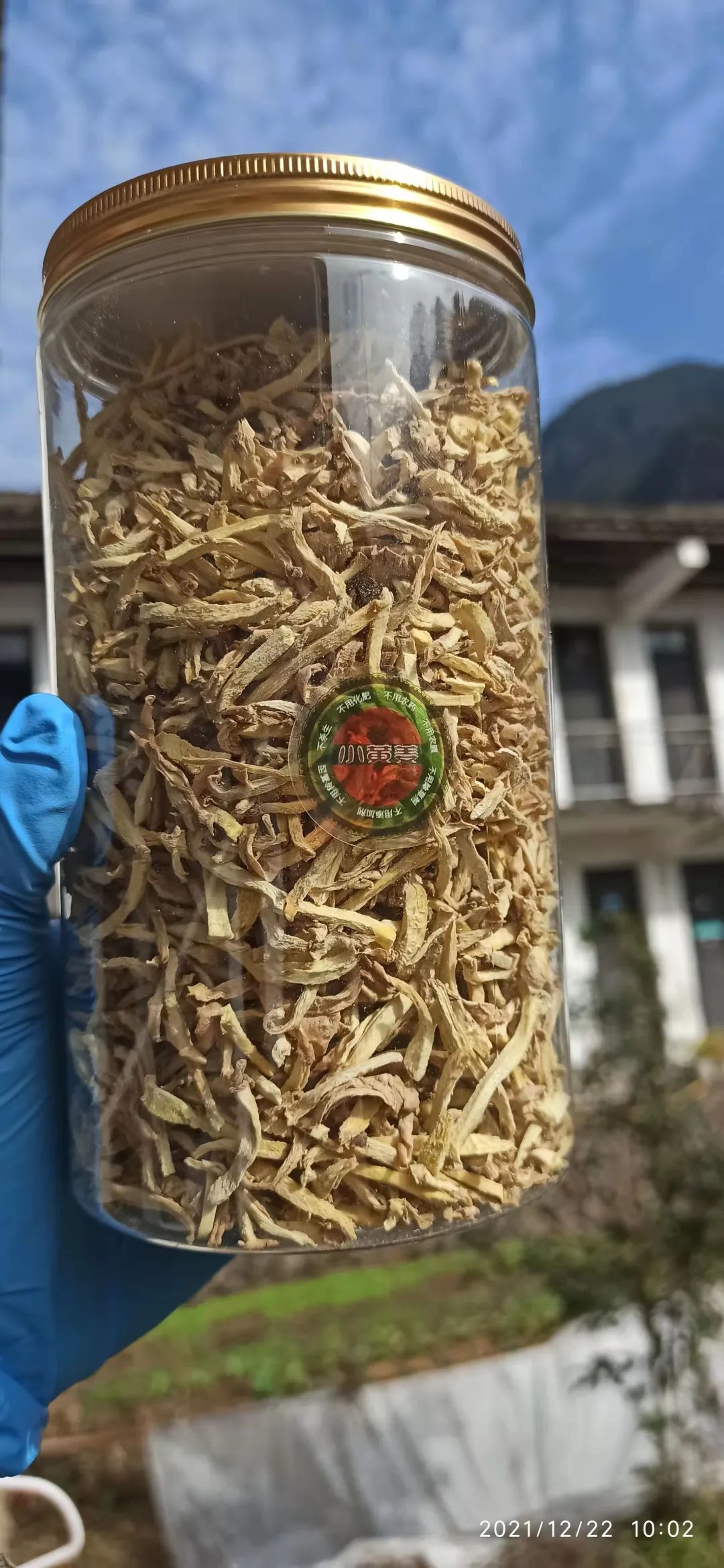 明安農業五月種七不水稻了。六月端午別忘吃粽子。買糯米要七不種植的...自然生態超越有機！七不姜優惠發劵