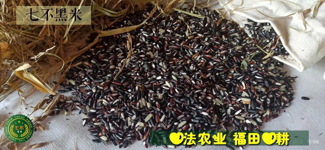 預定有禮-訂購大米送生姜。2022年秋收浙江仙居新米⑤紅秈米④黑米⑨勇優12粳米⑥糯米⑩香米華優18秈米 ⑾嘉豐優2號秈米 預定有禮-訂購大米送生姜。2022年秋收浙江仙居新米⑤紅秈米④黑米⑨勇優12粳米⑥糯米⑩香米華優18秈米 ⑾嘉豐優2號秈米
