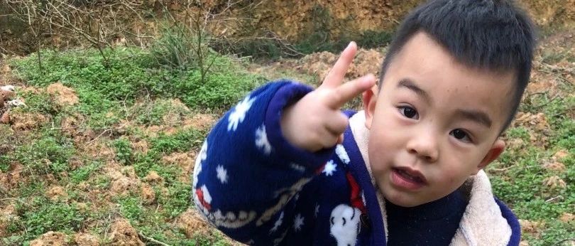 案例分享:原始點調理小孩突發高燒案例-七不姜 生姜養生網-明德CSA生態姜園&明安農業