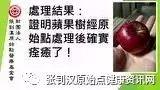 蘋果樹案例2017-七不姜 生姜養生網-明德CSA生態姜園&明安農業