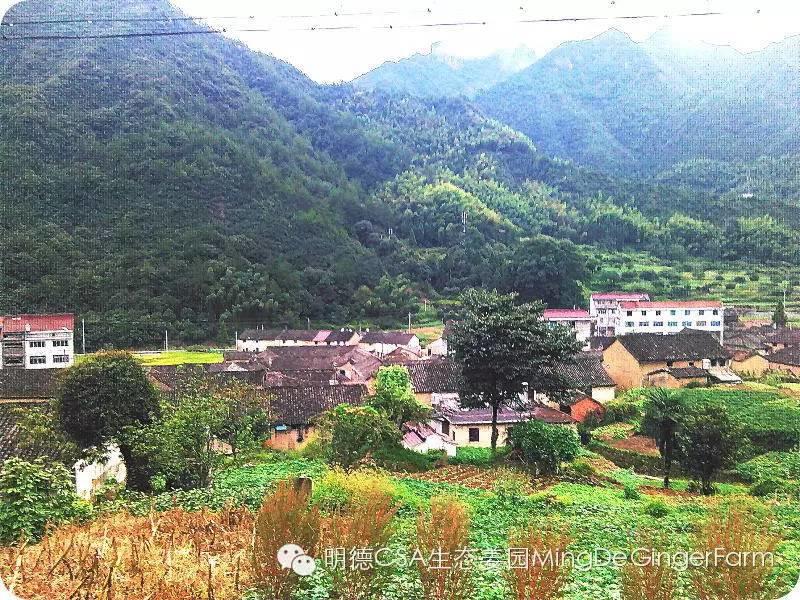 2015浙江仙居首期《明德惟馨 安生樂業鄉村傳統文化原始點公益論壇及推廣活動》