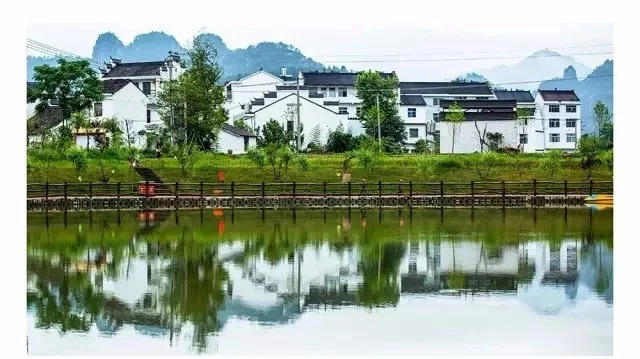 來仙居,我養你啊!- 秀美仙居 慈孝仁莊 明德生態姜園“七不”良心小黃姜發源地-七不姜 生姜養生網-明德CSA生態姜園&明安農業