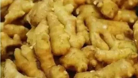 生姜片敷在“肚臍”上,多個奇跡出現了!-七不姜 生姜養生網-明德CSA生態姜園&明安農業