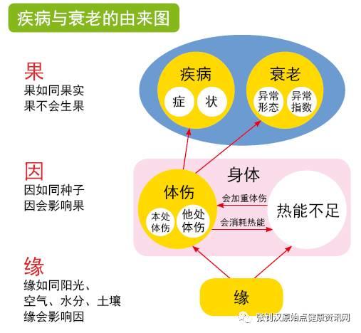 媒體報道-「原始點」道出病痛因緣果