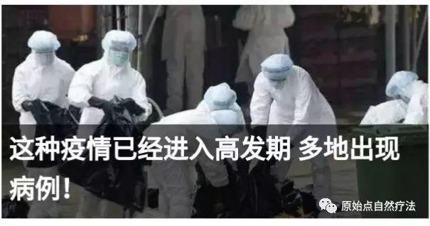 基金會視頻:原始點有沒有在治細菌病毒如艾博拉, 艾滋, SARS, H7N9...?-七不姜 生姜養生網-明德CSA生態姜園&明安農業