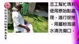 頭部潰爛案例-七不姜 生姜養生網-明德CSA生態姜園&明安農業