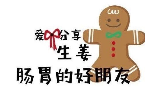 生姜:腸胃的好朋友-七不姜 生姜養生網-明德CSA生態姜園&明安農業