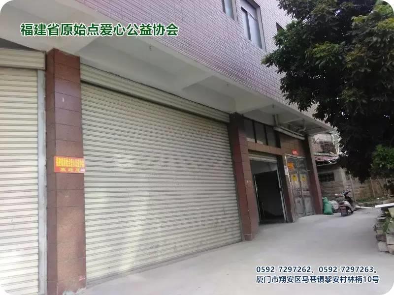 如何學好并落實原始點-福建省原始點愛心公益協會張彩香老師分享