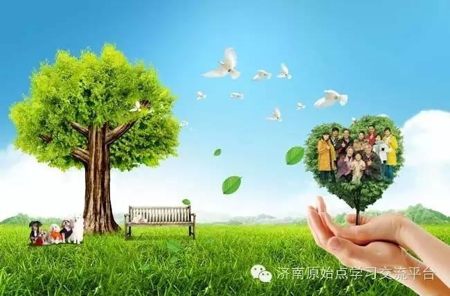 原始點案例:白癜風-七不姜 生姜養生網-明德CSA生態姜園&明安農業