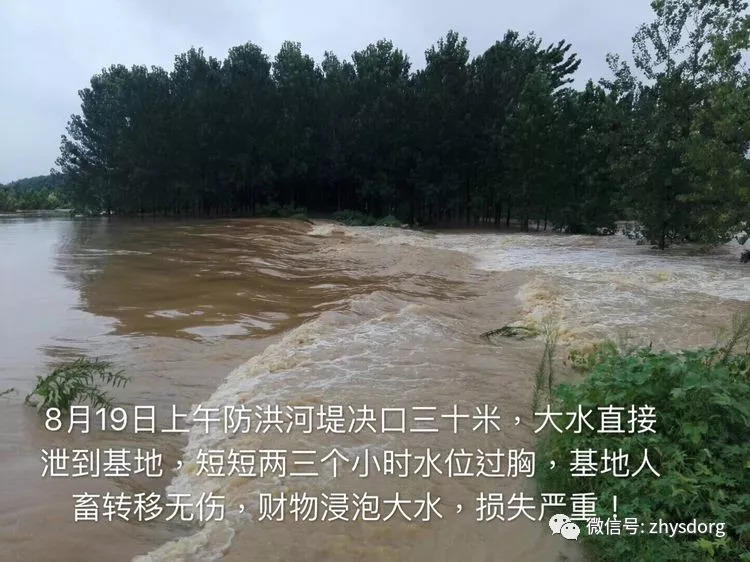 徐州市原始點基地（一方有難，十方支援，急需要家人們來幫忙！）