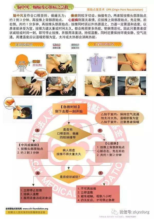 腦中風、癲癇、心臟病之院前急救。原始點復蘇術  OPR (Origin Point Resuscitation)-七不姜 生姜養生網-明德CSA生態姜園&明安農業