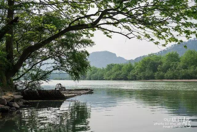 浙江｜秀水古道 人間仙居- 秀美仙居 慈孝仁莊 明德生態姜園“七不”良心小黃姜發源地