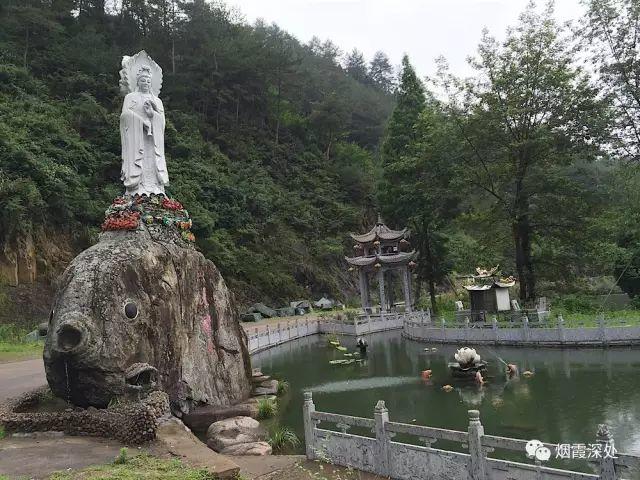 傳統村落--溪港鄉仁莊村（古村行013）- 秀美仙居 慈孝仁莊 明德生態姜園“七不”良心小黃姜發源地