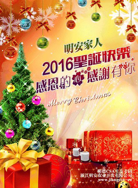 最后兩天了!平安圣誕 歲末感恩酬賓大促銷 所有零售薑品買三送一-七不姜 生姜養生網-明德CSA生態姜園&明安農業