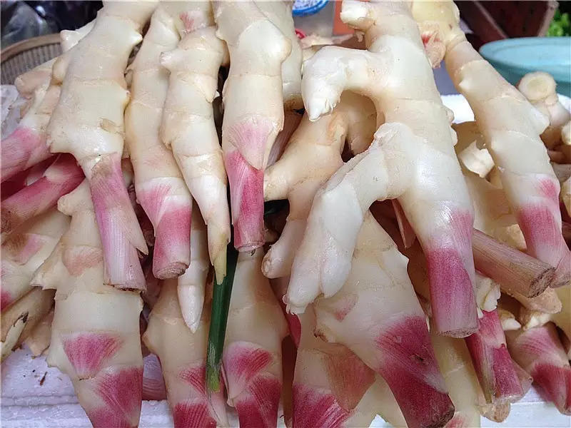 嫩姜,子姜嫩薑、子薑美觀可口。民眾很喜歡品嘗。大家看完此文就不敢再吃了!知道為什么嗎?-七不姜 生姜養生網-明德CSA生態姜園&明安農業