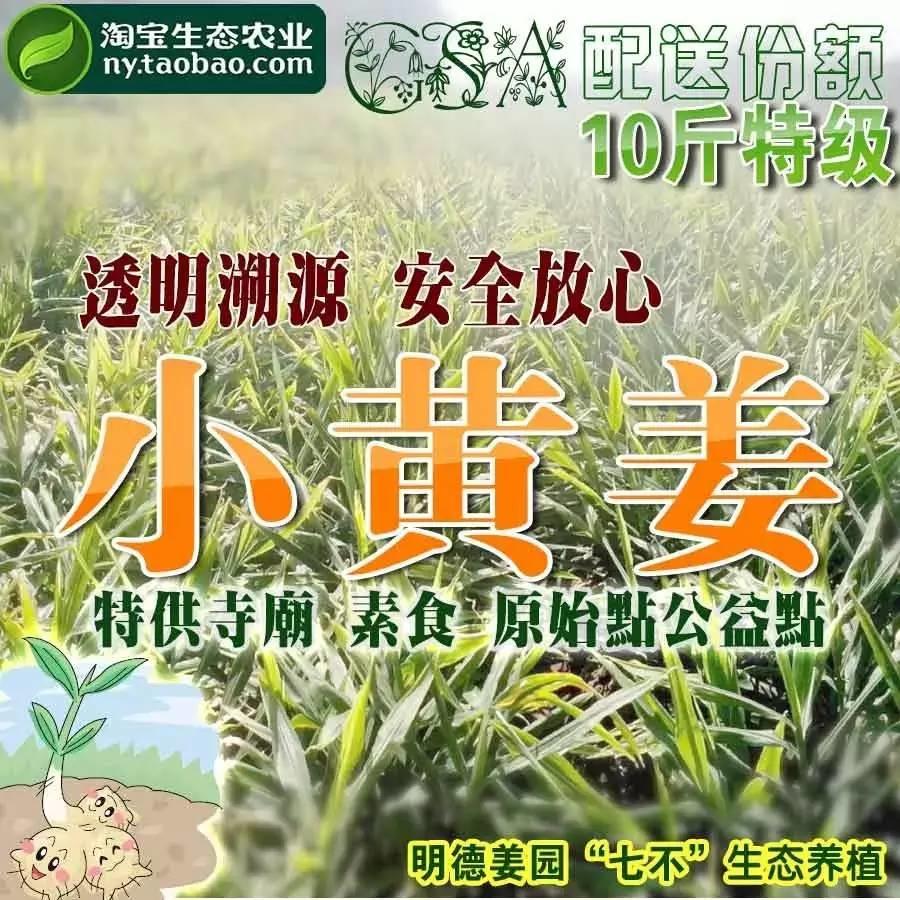 [有獎問答]原始點鮮姜的購買和使用調查統計-七不姜 生姜養生網-明德CSA生態姜園&明安農業