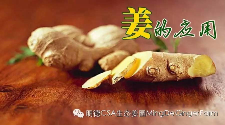 原始點姜的應用及姜片、姜湯制作過程-七不姜 生姜養生網-明德CSA生態姜園&明安農業
