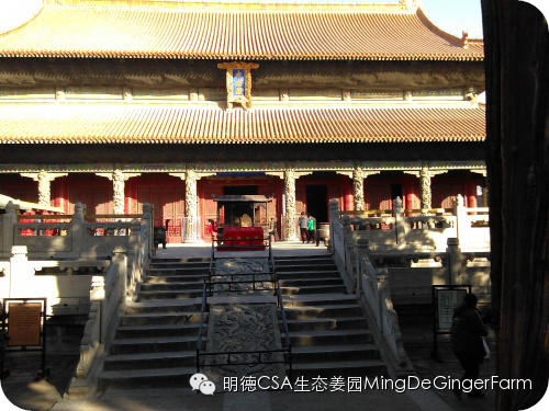 明德CSA姜園 山東圣城曲阜祀天