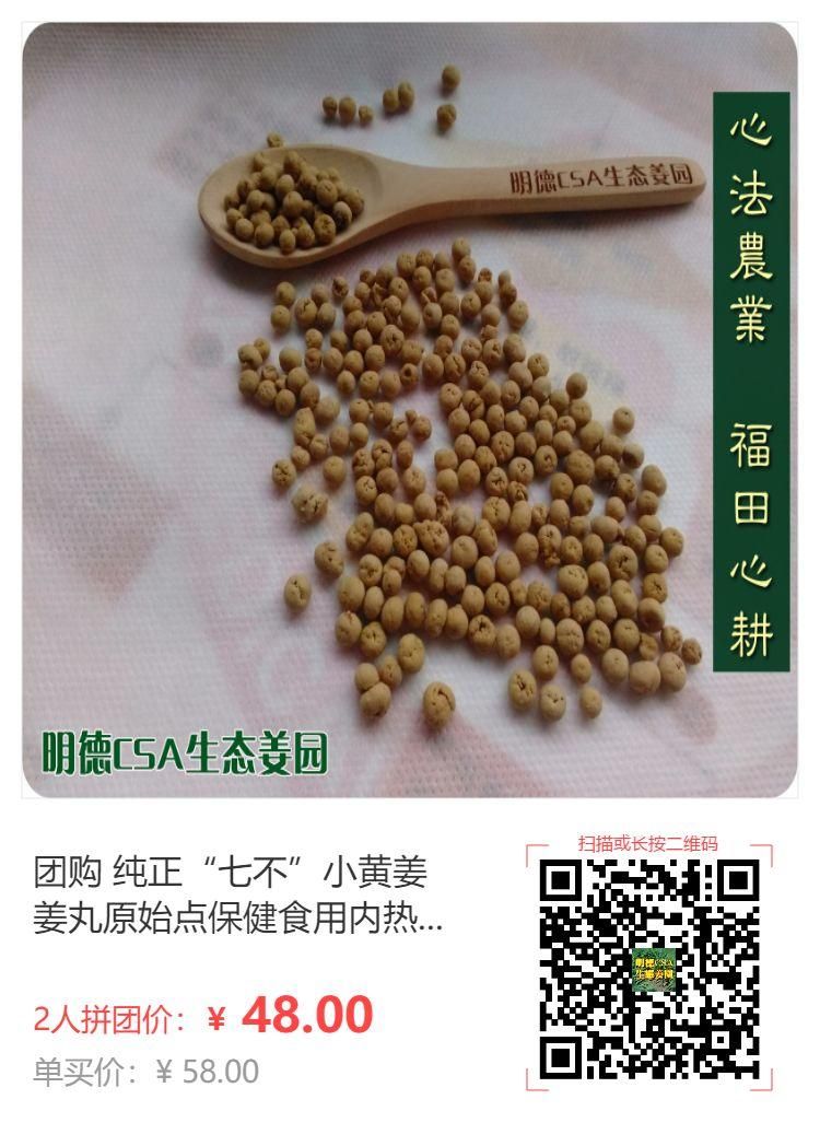 團購姜丸 純正“七不”小黃姜姜丸原始點保健食用內熱源 100克加送25克 特級恭制