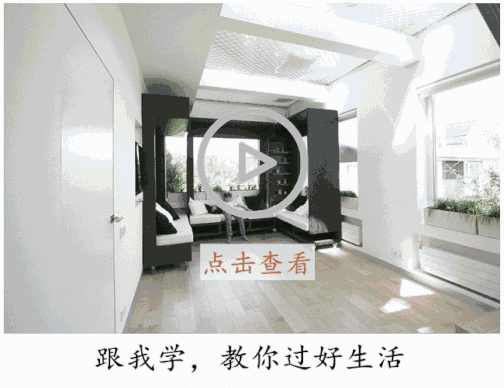 生姜就是“富貴竹”，拿剩菜做盆栽，美爆了