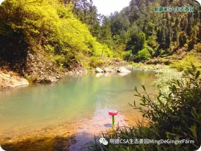 醫與湯藥