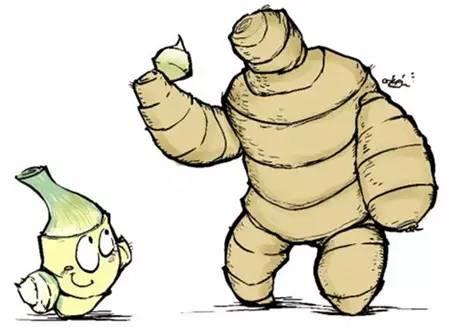 張醫師講:原始點姜的應用大總結:【古代名人姜的傳說】-七不姜 生姜養生網-明德CSA生態姜園&明安農業