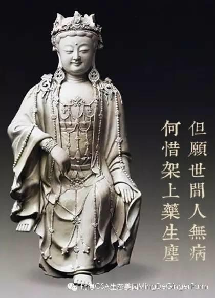 喝姜湯會造成濕疹嗎?我該如何正確應用內熱源？姜有沒有治病的功能？