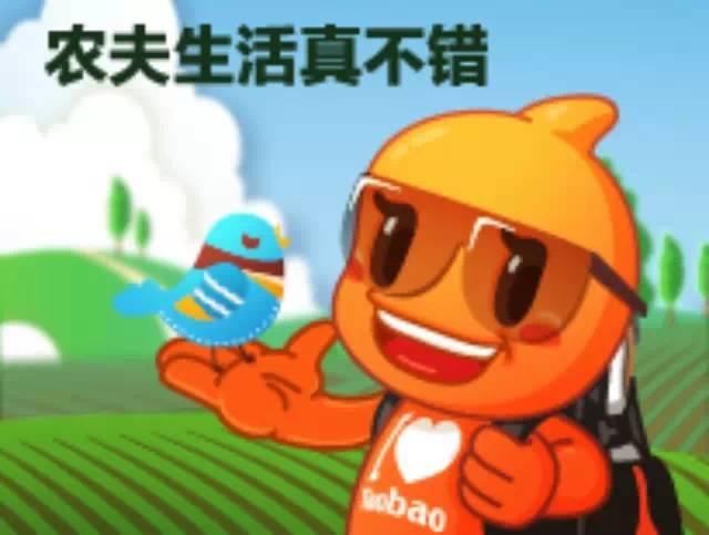 生態姜園CSA及PGS農業模式介紹-七不姜 生姜養生網-明德CSA生態姜園&明安農業