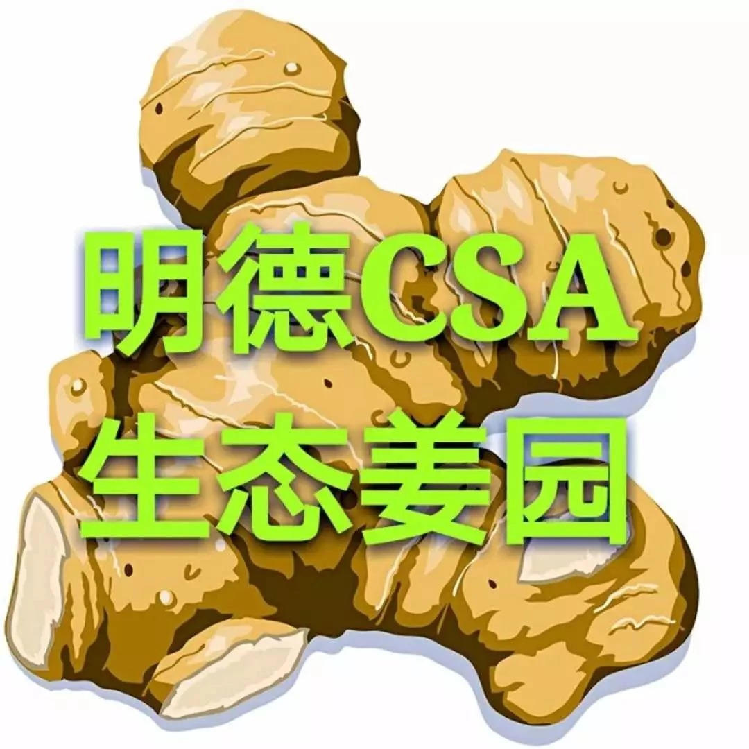 原始點良心姜銷售員推廣計劃,無任何成本即可成為心法農業 “七不”小黃姜的銷售員,一起分享收獲的喜悅。-七不姜 生姜養生網-明德CSA生態姜園&明安農業