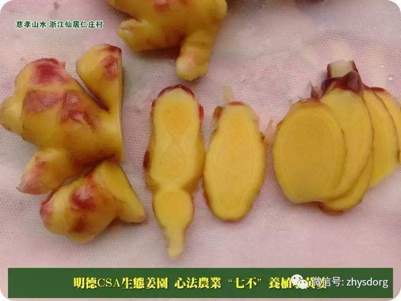 吃姜會不會上火？姜晚上能不能吃？吃姜會不會散氣？秋天能吃姜嗎？