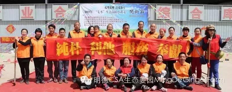 姜園5月新入股東王麗華 介紹。感恩純樸 利他 服務 奉獻的82歲的呼和浩特原始點志愿者!-七不姜 生姜養生網-明德CSA生態姜園&明安農業