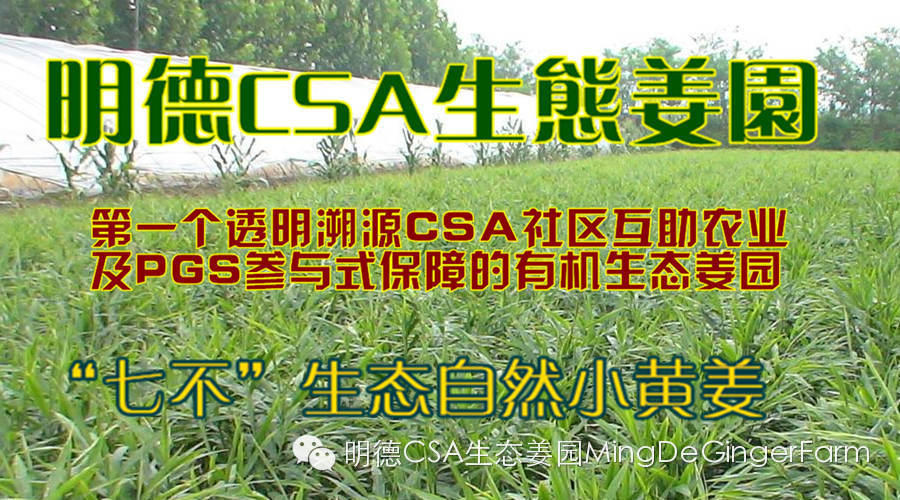 生態姜園CSA及PGS農業模式介紹