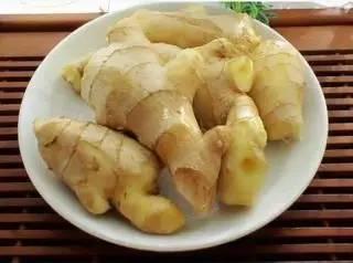 《本草綱目》生姜-神奇的小黃姜