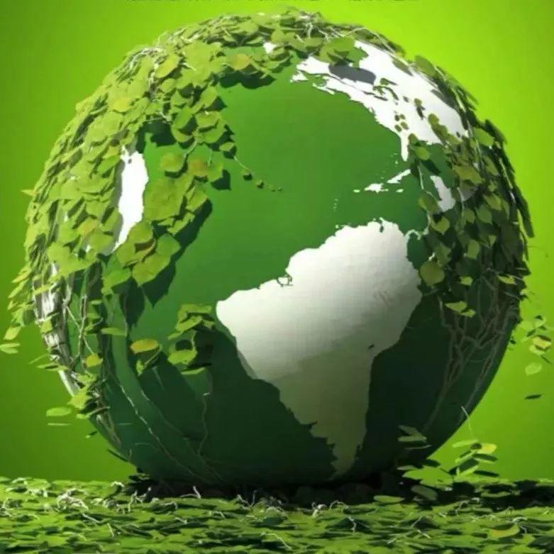 世界蔬醒日!全球111萬人蔬食,一起來!-七不姜 生姜養生網-明德CSA生態姜園&明安農業