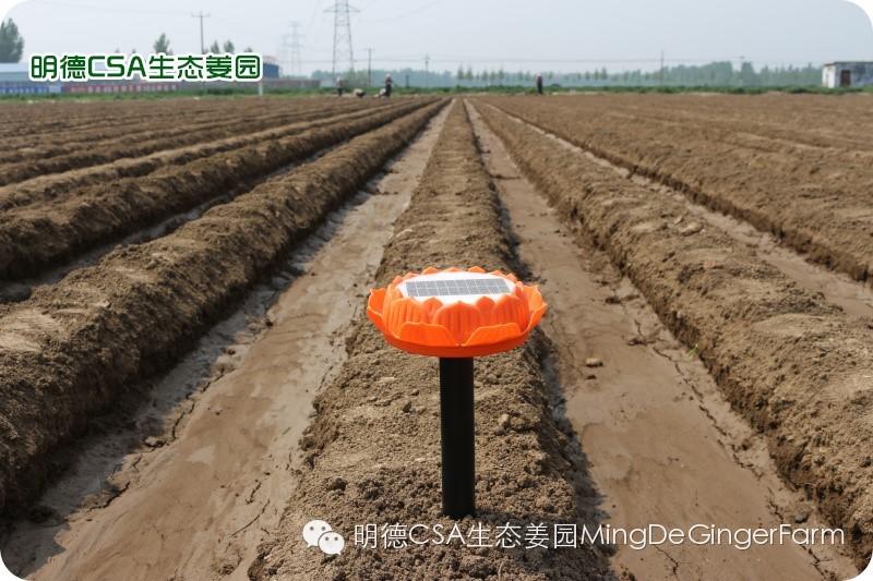 做農業必懂的19個創意流行概念