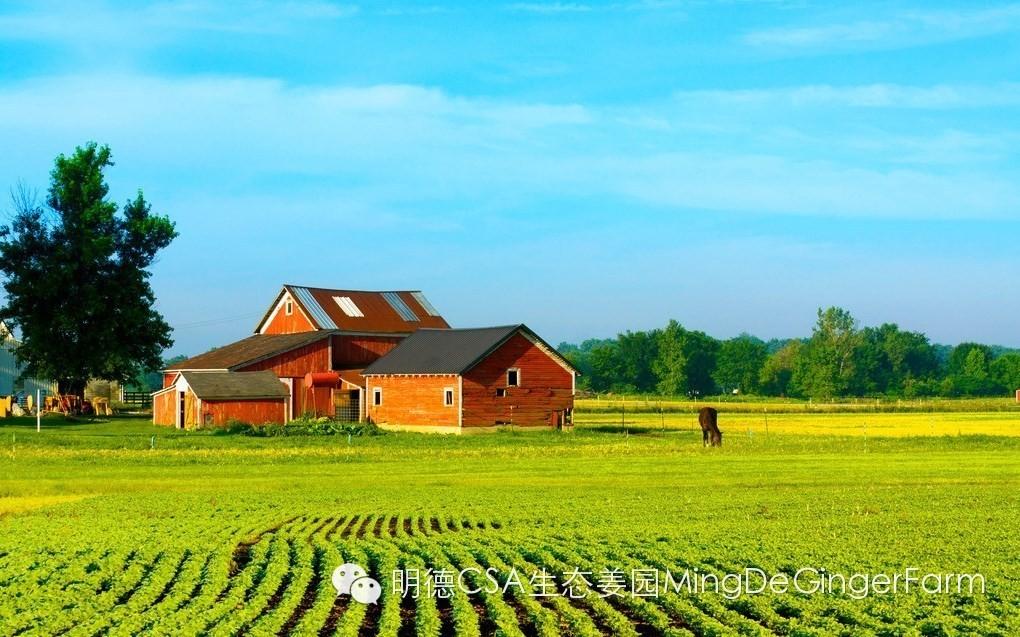 北京農場物語:10個當紅農場有機有愛有溫度-七不姜 生姜養生網-明德CSA生態姜園&明安農業