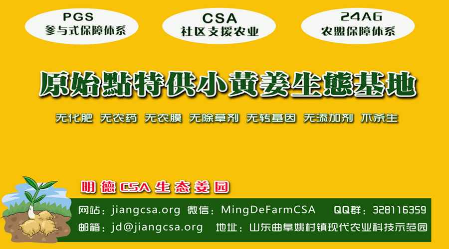 小黃姜種植技術圖文詳解